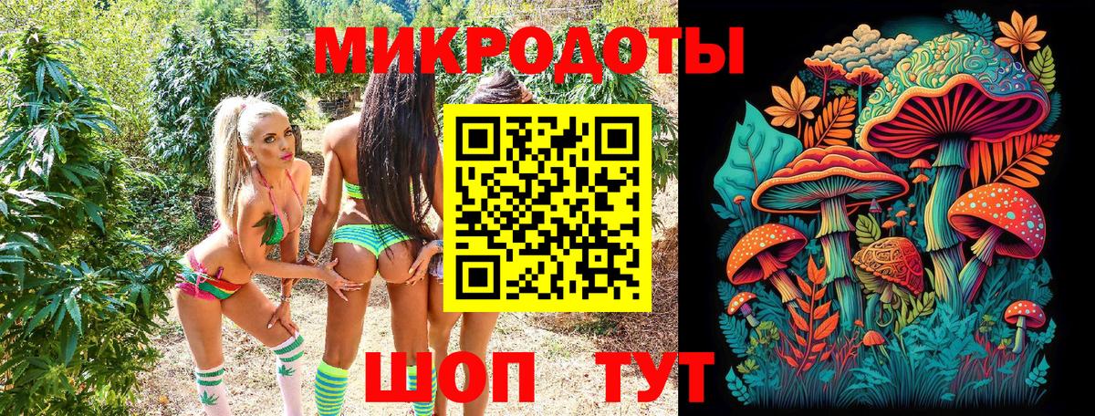 Псилоцибиновые грибы GOLDEN TEACHER  Псилоцибиновые грибы ЛСД  Владивосток  где можно купить   Вход с VPN 