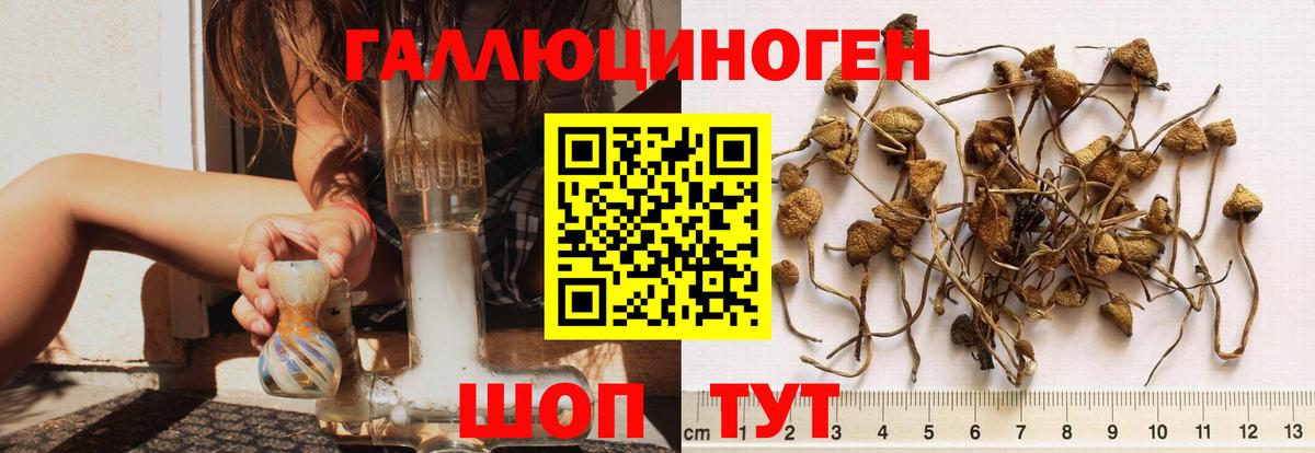 Галлюциногенные грибы Magic Shrooms Владивосток